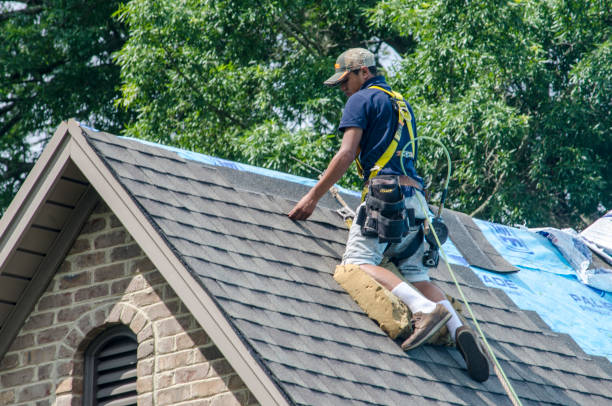 Professional Roofing Contractor in Black Jack, MO